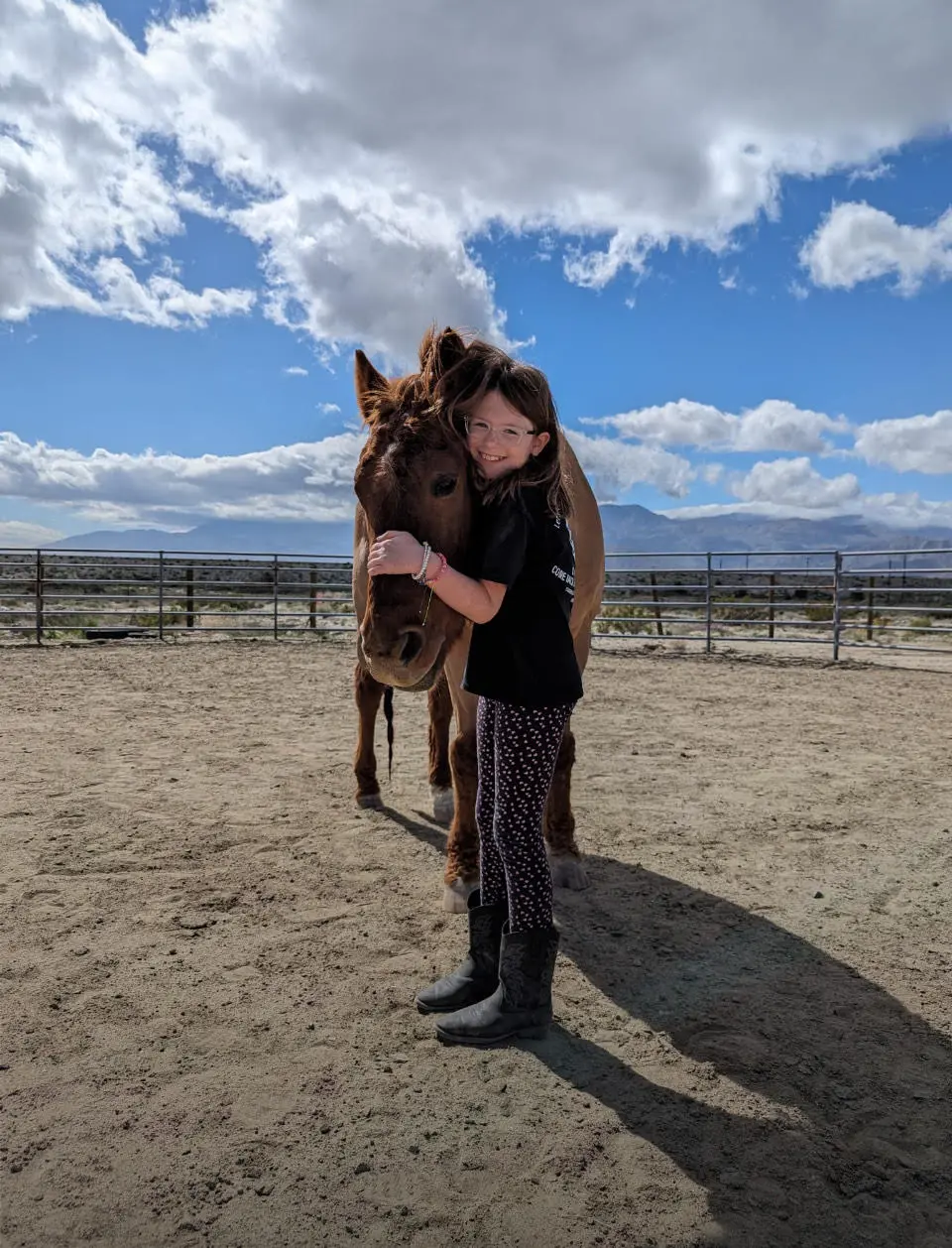 Charlie the program horse