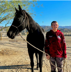 Clay the Fresian-Quarter Horse mix
