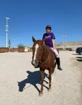 Rose the horse