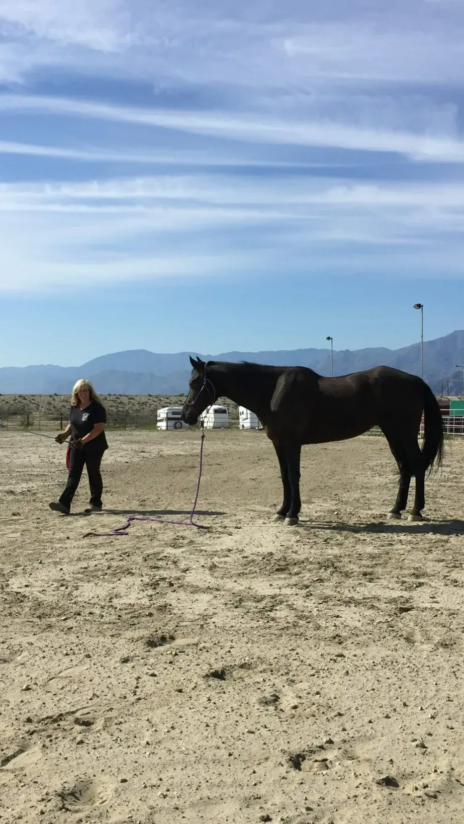 Horse at Coachella Valley Horse Rescue
