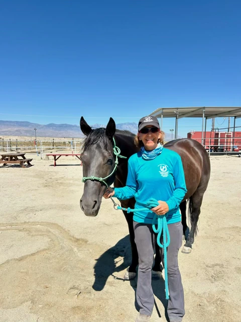 Dana Brown, Horse Professional