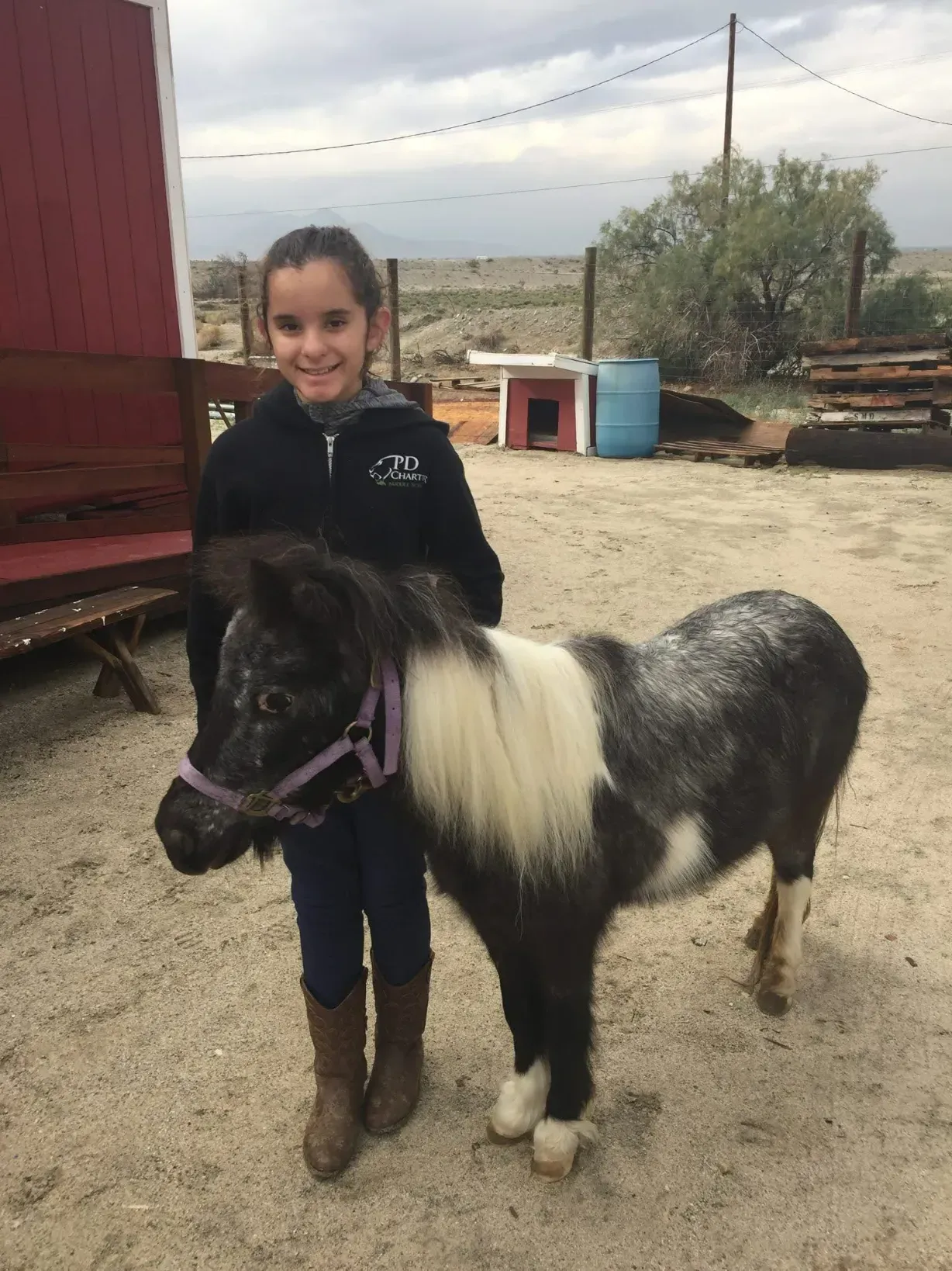 Oreo Cookie, a black and white rescue pony