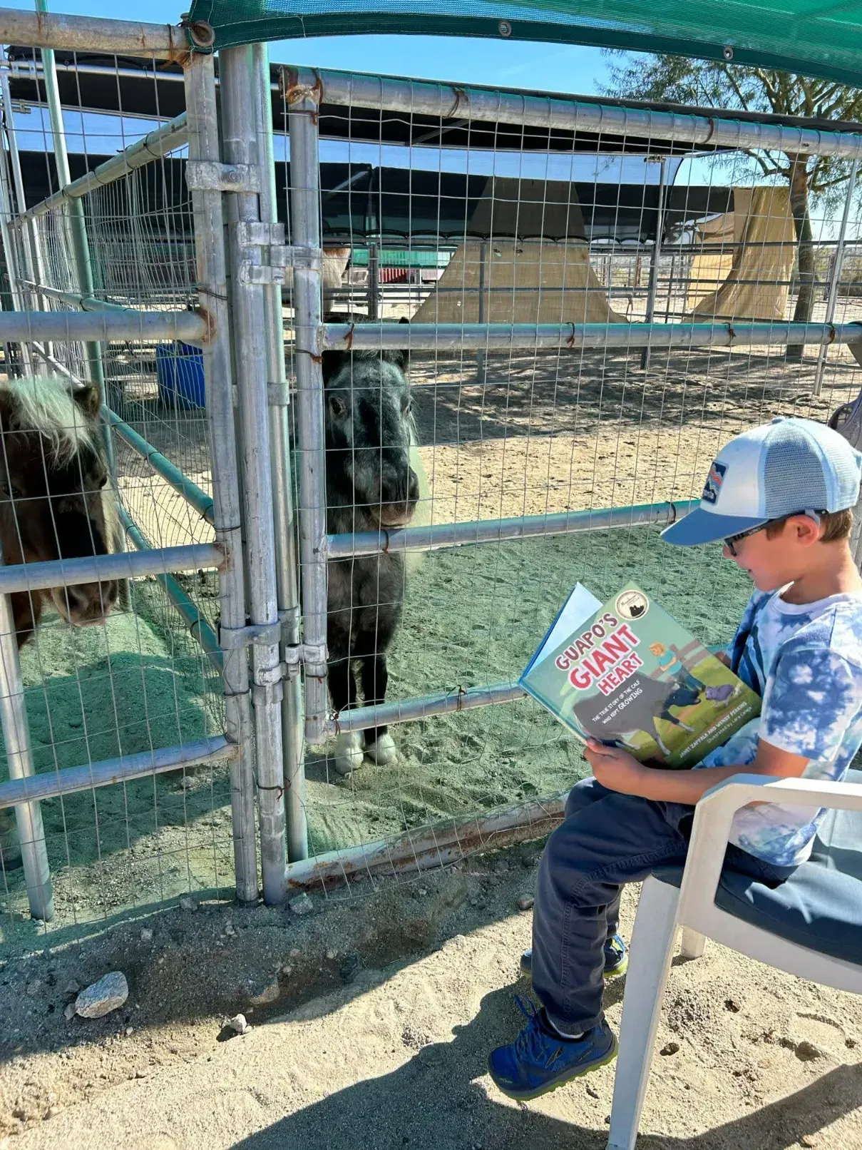 A boy reading the book Guapo’s Giant Heart to a pony through the fence of its pen